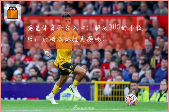 英皇体育平台入口：解决BUG的小技巧，让游戏体验更顺畅！